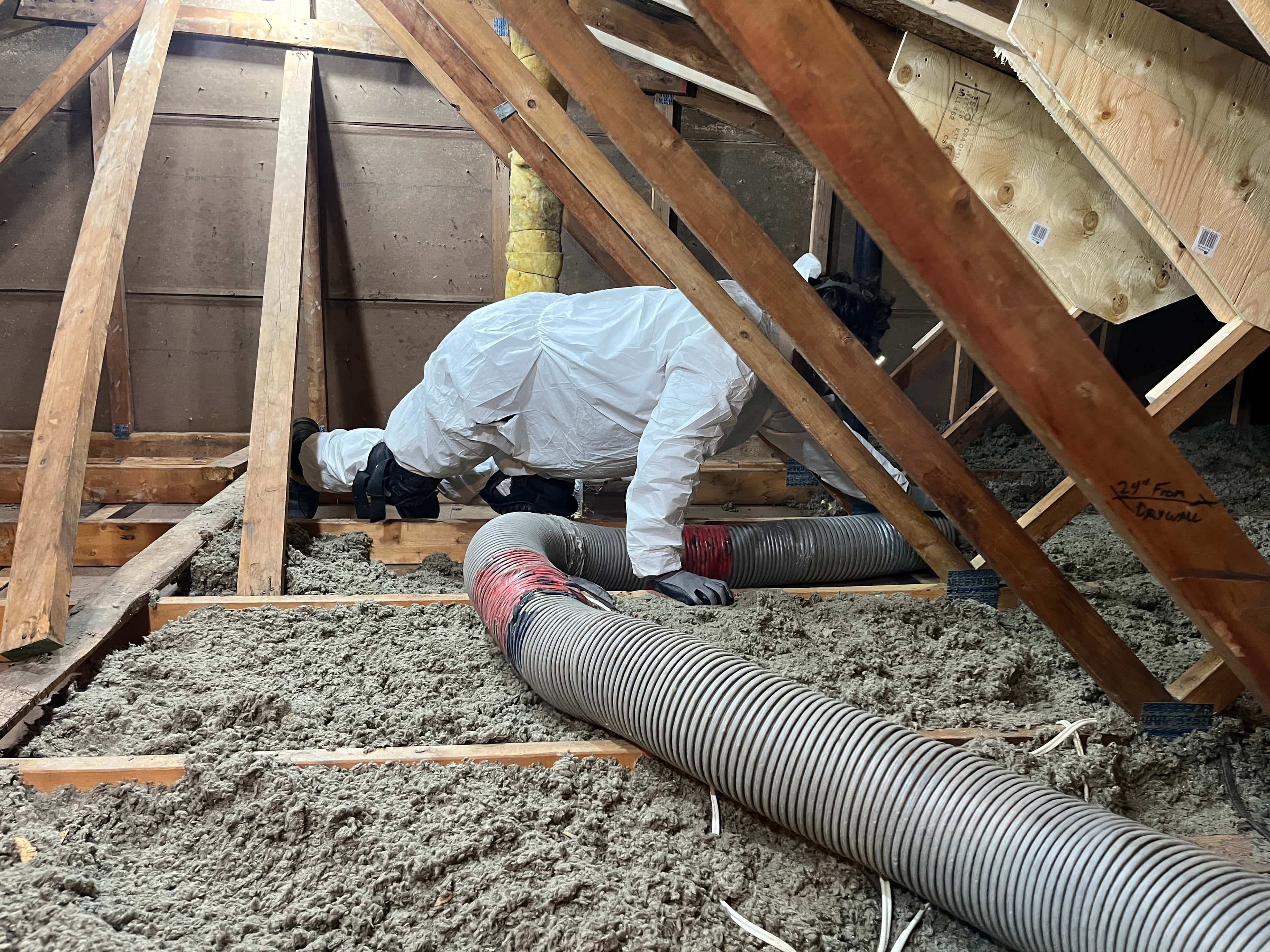 Insulation removal technician working in an attic with a commercial vacuum hose