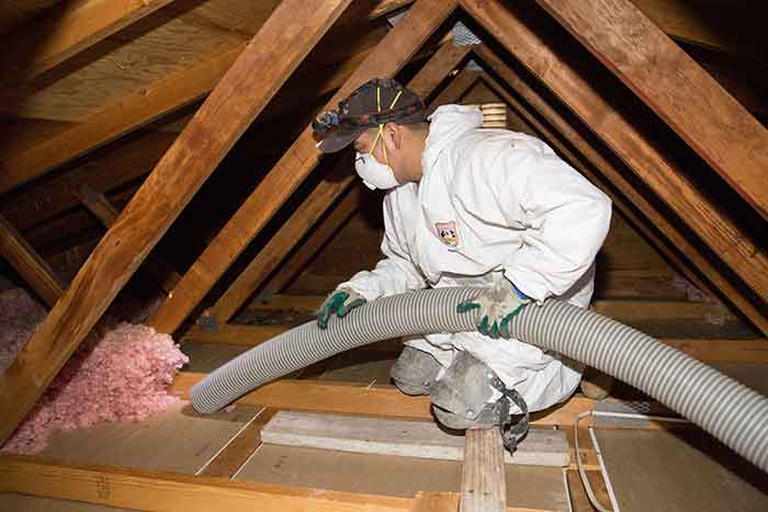 Technician working in a Toronto attic